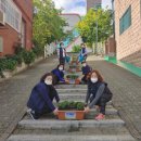 관교동 행정복지센터 이미지