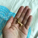 젬스토어 이미지