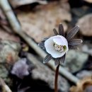 꽃뫼마을 이미지