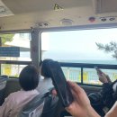 부산사하지역자활센터 사하어묵 | 외국인 친구와 함께한 부산 2박 3일 (+롯데 야구 직관!)