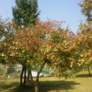 나노아이엔씨 이미지