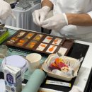 군자애견 이미지