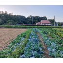 전원풍경 이미지