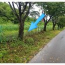 서종공인중개사사무소 이미지