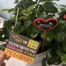 진주세탁소 이미지