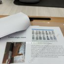 파워슈로스 운동센터 | 척추측만 교정운동 슈로스 정규과정 20기 (SBP) 수강 후기