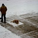 정감어린 이미지