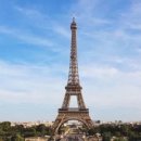 탑포인트 이미지