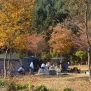 황학동캠핑장 이미지