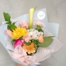 사파동195 이미지