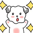 여기다식당 - 강릉시 | 여기다식당