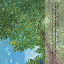12회 활동도서- 날고 싶지 않은 새 [ 양장 ] 김강산 글그림 | dodo 이미지