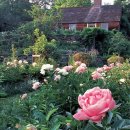 아빠의 정원 이미지