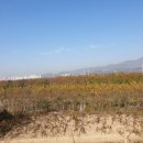 압량읍내 이미지