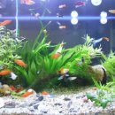 정화노래연습장 이미지