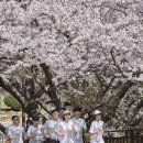 선라이즈 이미지