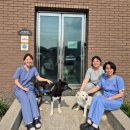 카라동물병원 이미지