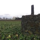 인성리-4 이미지