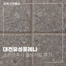 110 | 대전유성포레나 스트라폭시 프리미엄 줄눈시공 후기