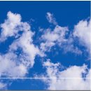 민간약초 생활한방 이미지