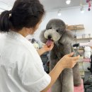 쁘리에숑 이미지