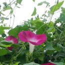 남포초등학교 이미지