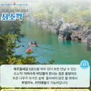 위미1리어촌체험휴양마을 이미지