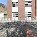 도원초등학교 이미지