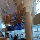 BLACK PINE RESORT | 말레이시아 조호바루 여행 식당 마사지 후기