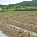 환희농장 이미지