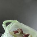 주현이손맛