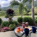 위트선데이 | 호주 로드트립 9~11일차: 위트선데이섬, 화이트헤븐비치 스노쿨링, 에얼리비치 맛집