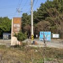 태안라온캠핑장 | 넓은 사이트와 가까운 해변이 좋았던 태안 '라온 캠핑장'