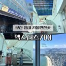 더위즈(The WlZ) | 부산 실내 가볼만한곳 해운대 놀거리 엑스더스카이 전망대 100층