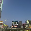 훼미리오락실 | 도쿄 신주쿠의 밤/오마카세,일본 편의점털기,용과같이,4차까지 술판,빅카메라