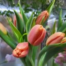 연제일신병원 이미지