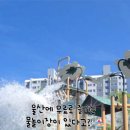 복산동-18 | 울산 복산 물놀이장 완전 정복