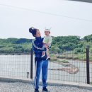 항포 펜션 이미지