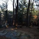 봉황산나래숲 이미지