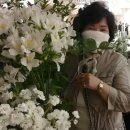 오늘도 잔치국수 이미지