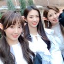 [Cherry-Pick🍒] 1. 인싸채널 체리블렛 비하인드 ① 이미지