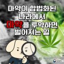 작년 한 해 BC주 독성 약물로 2500명 목숨 잃어 이미지