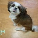 단비 이미지