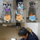 남매미용실