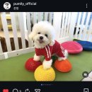 퍼밀리