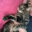 청학로92번길2 이미지