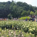 장미모텔 이미지