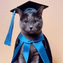 스무살의꿈 동물병원 이미지