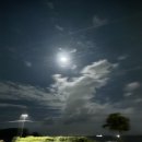 세븐일레븐 서귀포본점 이미지