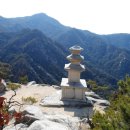 남산1리 이미지